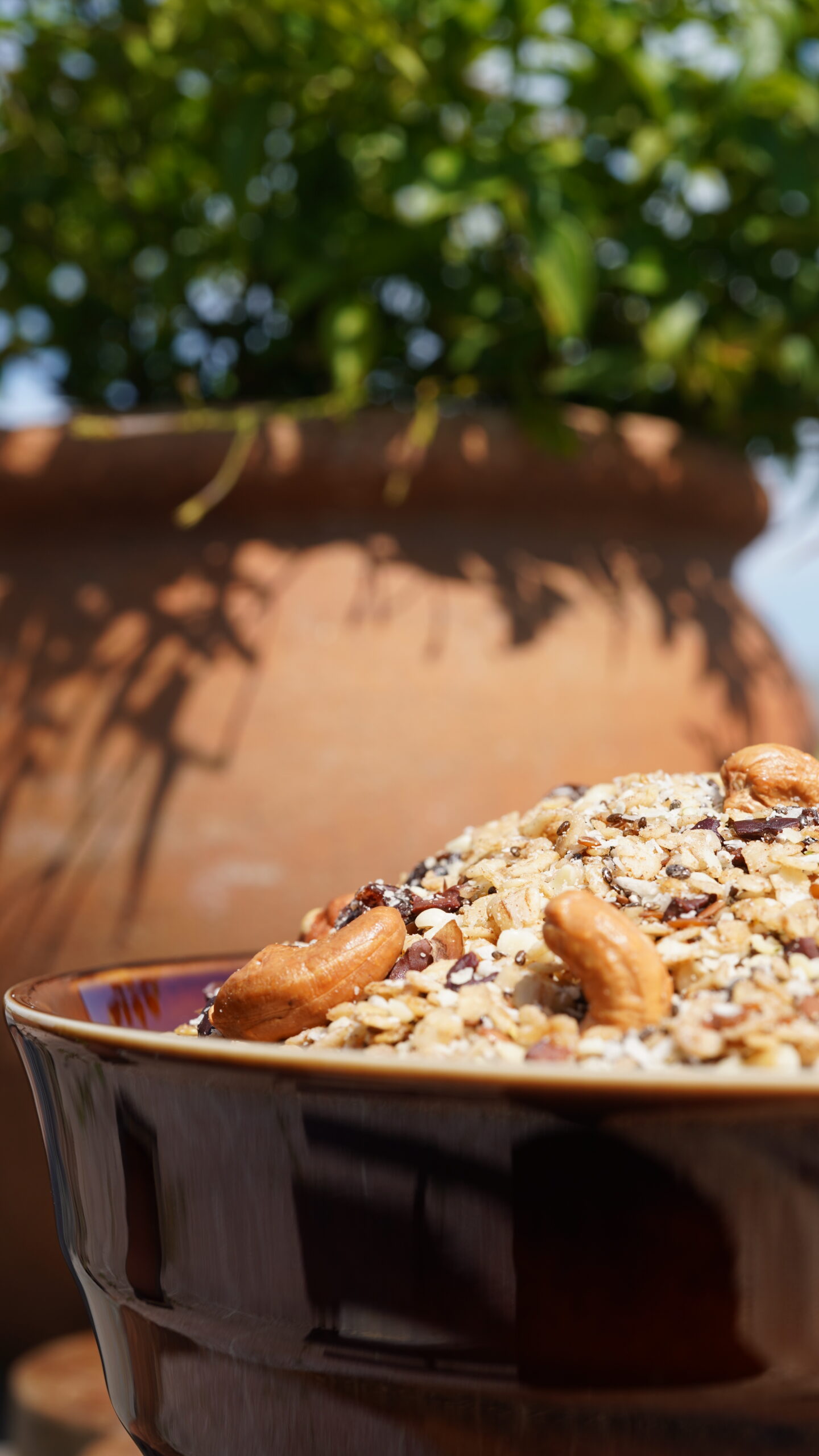 GoodFuel Granola - Image 3